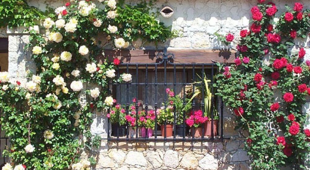 Castel Garoupe Ξενοδοχείο Αντίμπ Εξωτερικό φωτογραφία